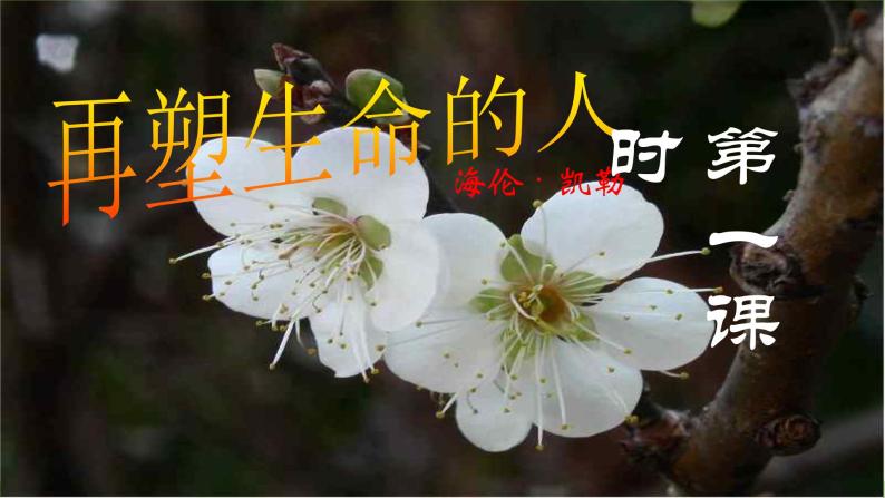 【核心素养】部编版初中语文七年级上册10＊《再塑生命的人》 课件+教案+同步测试（含答案）+导学案（师生版）04