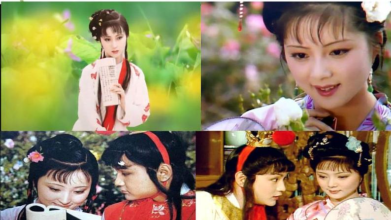 刘姥姥进大观园同步课件第1页