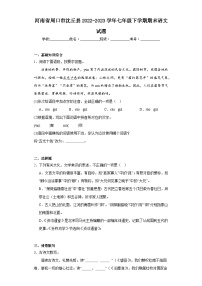 河南省周口市沈丘县2022-2023学年七年级下学期期末语文试题（含答案）