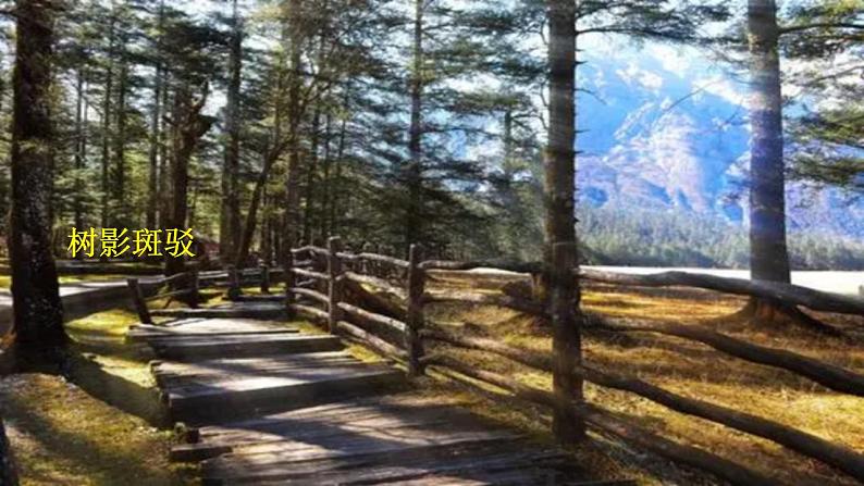 【核心素养】部编版初中语文八上第三单元写作《学习描写景物》（课件+教案）03