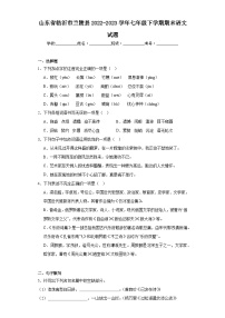 山东省临沂市兰陵县2022-2023学年七年级下学期期末语文试题（含答案）