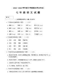 黑龙江省齐齐哈尔市拜泉县2022-2023学年七年级下学期期末学业考试语文试卷
