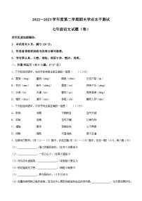 陕西省安康市紫阳县2022-2023学年七年级下学期期末语文试题（含答案）