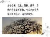 第4课《天净沙·秋思》课件2022-2023学年统编版语文七年级上册