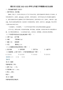 精品解析：重庆市大足区2022-2023学年九年级下学期期末语文试题（解析版）
