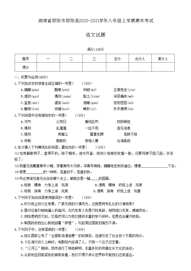 湖南省邵阳市邵阳县2020-2021学年八年级上学期期末考试语文试题01