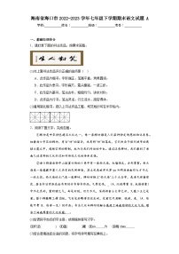 海南省海口市2022-2023学年七年级下学期期末语文试题A（含答案）