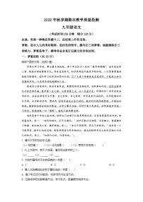 广西贵港市桂平市2022-2023年九年级上学期期末语文试题（解析版）