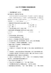 湖南省岳阳市临湘市2022-2023学年七年级上学期期中语文试题（学生版）