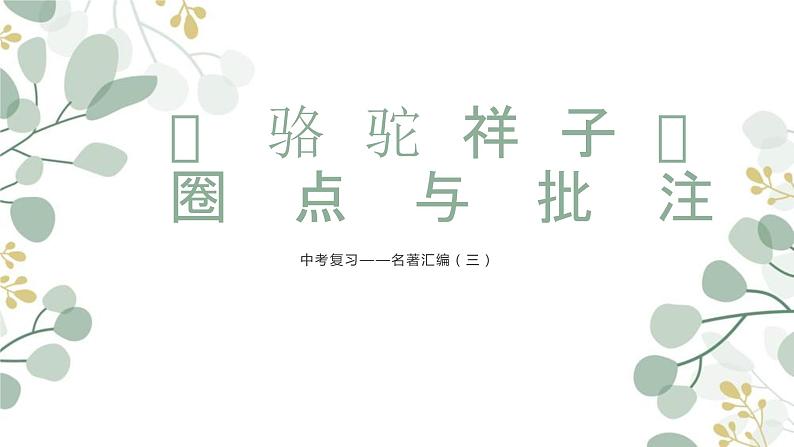 中考语文二轮专题复习：名著导读《骆驼祥子》课件第1页