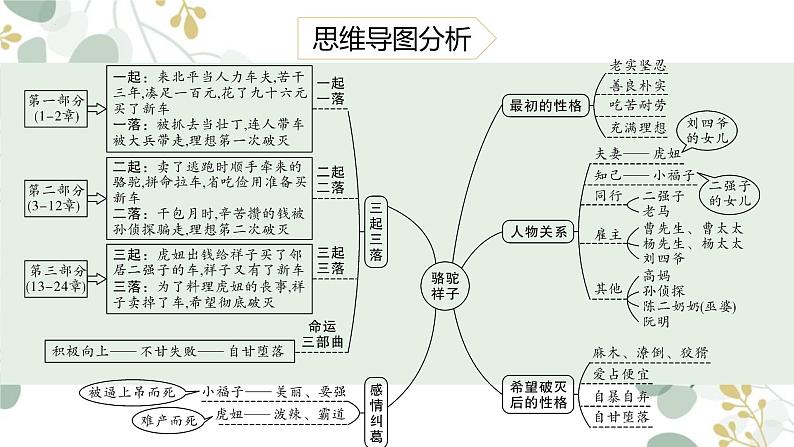 中考语文二轮专题复习：名著导读《骆驼祥子》课件第4页