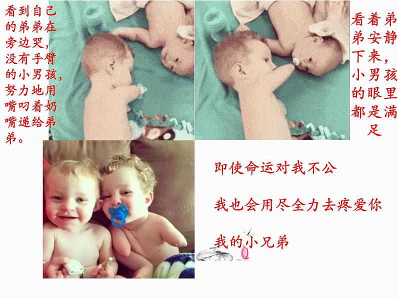 中考作文选材之至爱亲情   课件  2023年中考语文二轮专题05