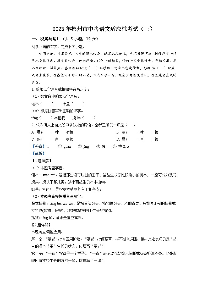 2023年湖南省郴州市中考三模语文试题（解析版）01
