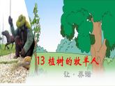 【核心素养】部编版初中语文七年级上册13《植树的牧羊人》 课件+教案+同步测试（含答案）+导学案（师生版）