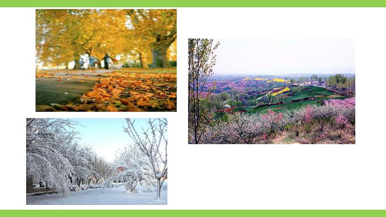 【核心素养】部编版初中语文七年级上册14＊《走一步，再走一步》 课件+教案+同步测试（含答案）+导学案（师生版）02