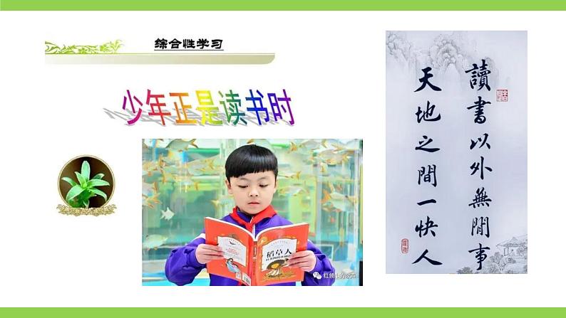 【核心素养】部编版初中语文七上第四单元综合性学习《少年正是读书时》 课件+教案01