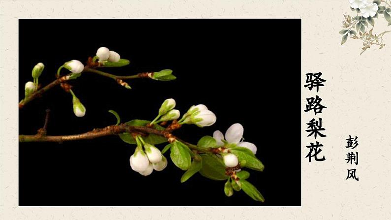 第15课《驿路梨花》课件 2022-2023学年统编版语文七年级下册01