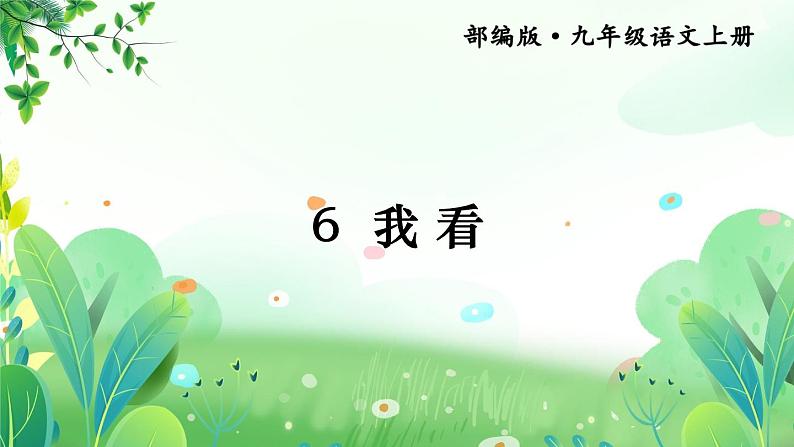 部编版九年级语文上册第一单元学习鉴赏《我看》课件（定稿）第4页