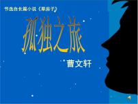 初中语文人教部编版九年级上册孤独之旅教学演示ppt课件