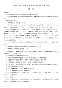 河南省周口市西华县2022-2023学年八年级下学期期末考试语文试题（含答案）