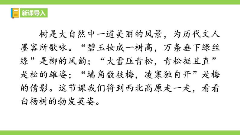 【核心素养】部编版初中语文八年级上册15《白杨礼赞》 课件+教案+同步测试（含答案）+导学案（师生版）01