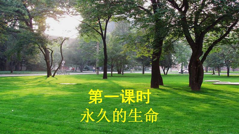 【核心素养】部编版初中语文八年级上册16《 散文二篇》 课件+教案+导学案（师生版）+同步测试（含答案）04