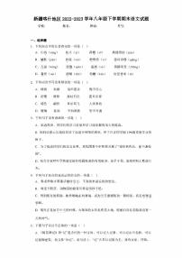 新疆喀什地区2022-2023学年八年级下学期期末语文试题（含答案）