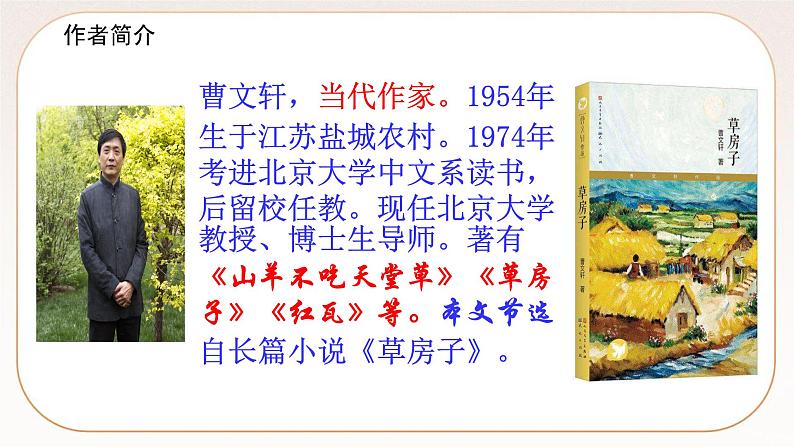 人教部编版语文九上 17《孤独之旅》课件PPT+导学案+课文朗读08