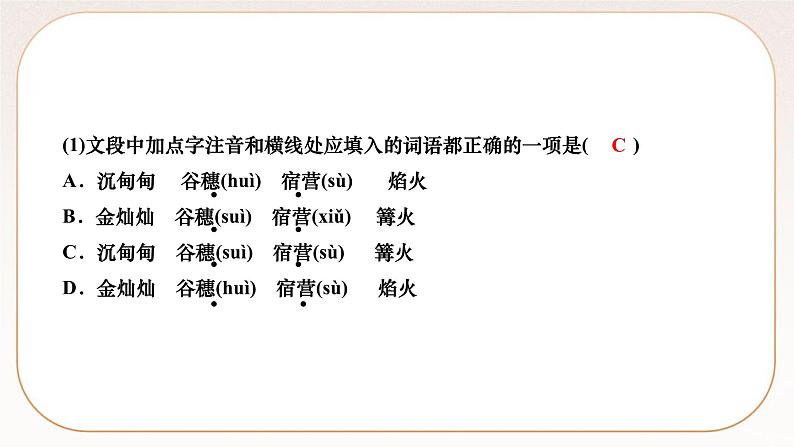 人教部编版语文九上 2　周总理，你在哪里（练习课件）第3页