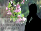 3 雨的四季 （课件）-2023-2024学年七年级语文上册（统编版）