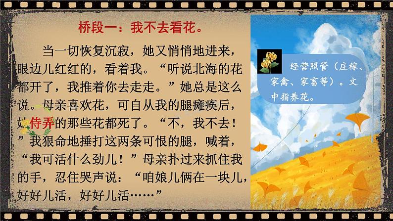 5 秋天的怀念（课件）-2023-2024学年七年级语文上册（统编版）06