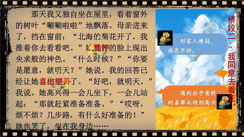 5 秋天的怀念（课件）-2023-2024学年七年级语文上册（统编版）08
