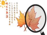 14 走一步，再走一步（课件）-2023-2024学年七年级语文上册（统编版）