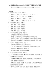 山东省鄄城县2022-2023学年七年级下学期期末语文试题（含答案）