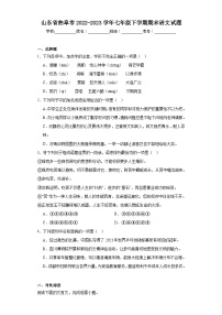 山东省曲阜市2022-2023学年七年级下学期期末语文试题（含答案）