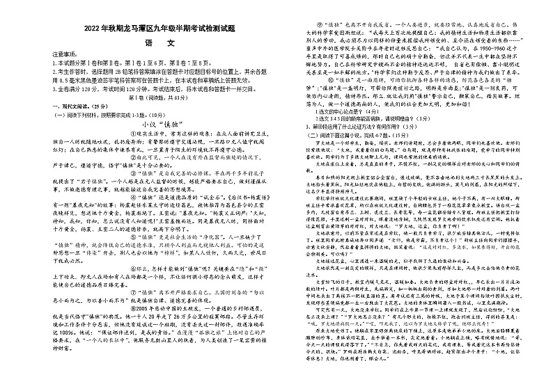 四川省泸州市龙马潭区2022-2023学年九年级上学期期中考试语文试题01