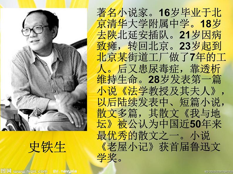 秋天的怀念上课用课件PPT04