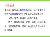 【核心素养】部编版初中语文九上第四单元综合性学习《走进小说天地》 教案课件