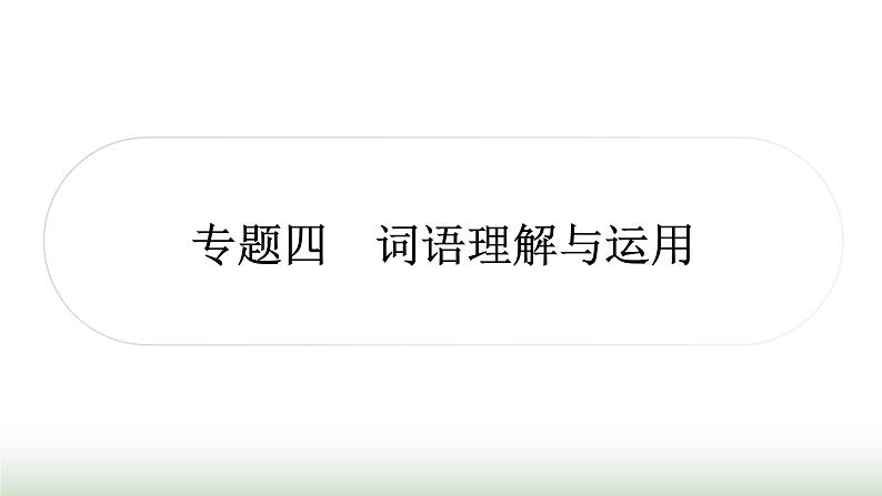 中考语文复习积累与运用2专题四词语理解与运用作业课件01