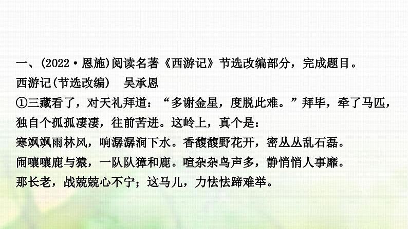 中考语文复习现代文阅读1专题十二名著阅读教学课件05