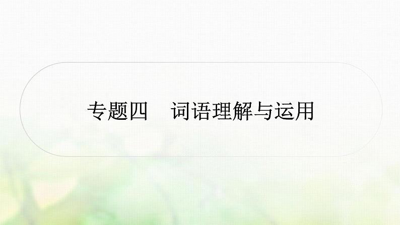 中考语文复习积累与运用2专题四词语理解与运用教学课件第1页
