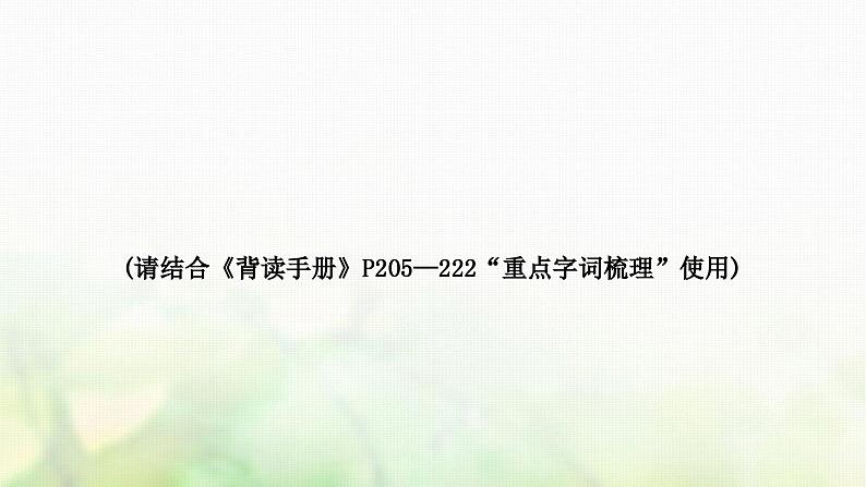中考语文复习积累与运用2专题四词语理解与运用教学课件第2页