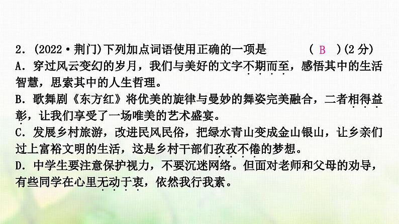 中考语文复习积累与运用2专题四词语理解与运用教学课件第6页