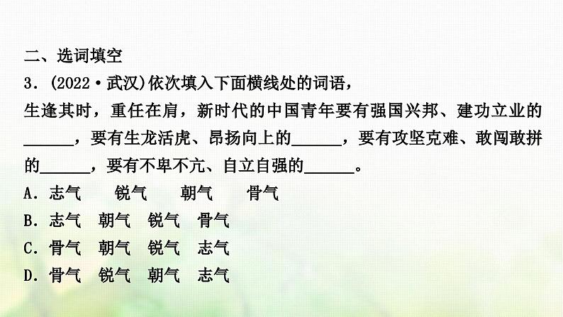中考语文复习积累与运用2专题四词语理解与运用教学课件第8页