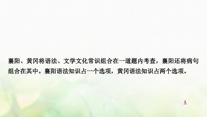 中考语文复习积累与运用3专题五语法教学课件06