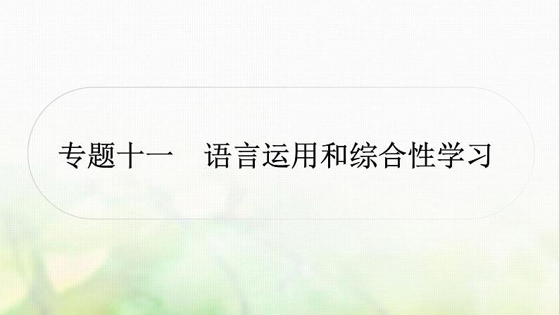 中考语文复习积累与运用9专题十一语言运用和综合性学习教学课件01