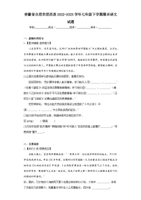安徽省合肥市肥西县2022-2023学年七年级下学期期末语文试题（含答案）