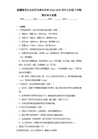 新疆维吾尔自治区乌鲁木齐市2022-2023学年七年级下学期期末语文试题（含答案）