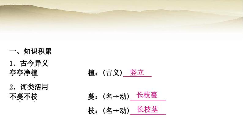 中考语文复习文言文基础储备练31爱莲说教学课件第2页