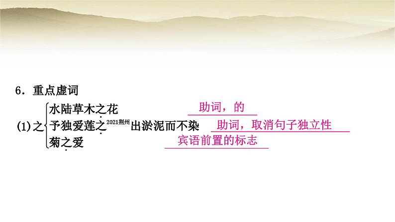中考语文复习文言文基础储备练31爱莲说教学课件第7页